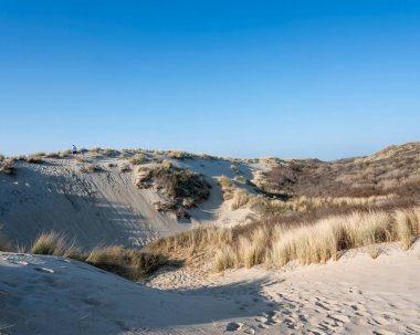 Baba ve oğul baharda güneşli bir günde mavi gökyüzünün altındaki kum tepelerine tırmanırlar.