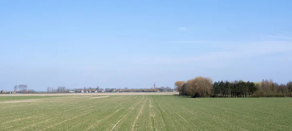 Veld bij dreischor op schouwen-duiveland in Nederland op zonnige lentedag. — Stockfoto