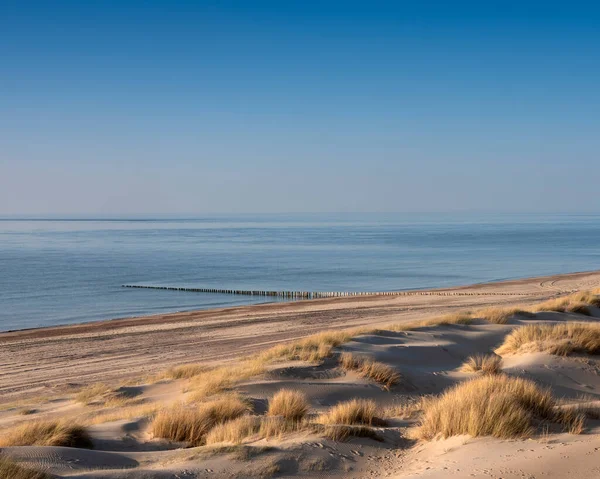 Dunas e praia quase deserta na costa holandesa perto de renesse na Zelândia sob o céu azul — Fotografia de Stock