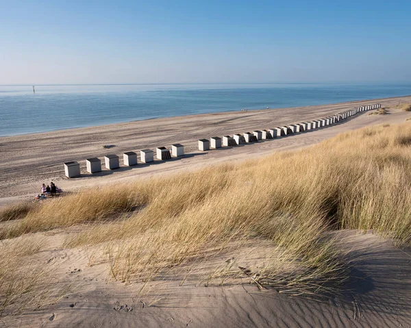 Sanddyner och nästan öde strand på holländska kusten nära renesse i zeeland under blå himmel — Stockfoto