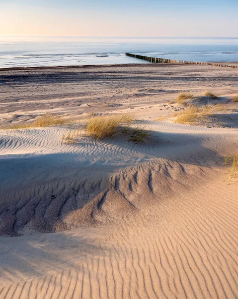 Homokdűnék és elhagyatott strand az Északi-tenger holland partján Zeeland tartományban — Stock Fotó