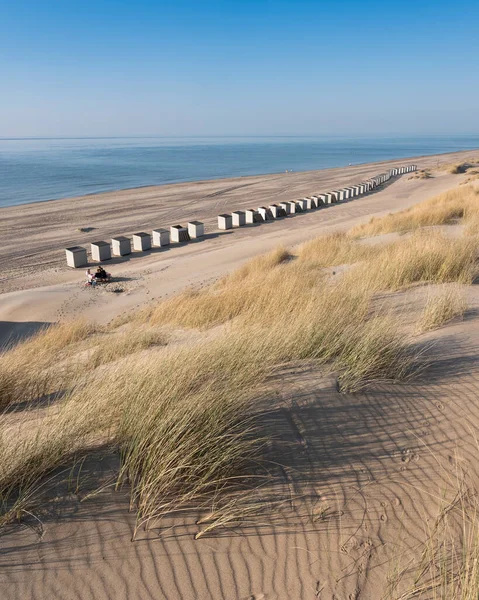 Duinen en bijna verlaten strand aan de Nederlandse kust bij renesse in Zeeland onder de blauwe hemel — Stockfoto