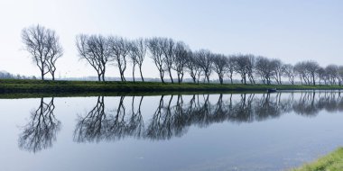 Hollanda 'nın Middelburg yakınlarındaki kanal suyuna yansıyan ağaçlar