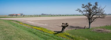 Hollanda 'nın Noord şehrinin kırsal kesimlerinde güneşli bir bahar gününde Zeeland
