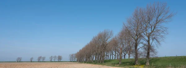 Platteland van noord schuin en in de Nederlandse provincie Zeeland op zonnige lentedag — Stockfoto