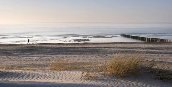 Eenzame figuur slentert in het voorjaar langs het strand van de Noordzee in Zeeuwse provincie onder de blauwe hemel — Stockfoto