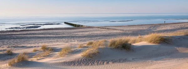 Figura solitária passeia ao longo da praia do mar do norte na província holandesa da Zelândia sob o céu azul na primavera — Fotografia de Stock