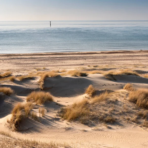 Duinen en bijna verlaten strand aan de Nederlandse kust bij renesse in Zeeland onder de blauwe hemel — Stockfoto