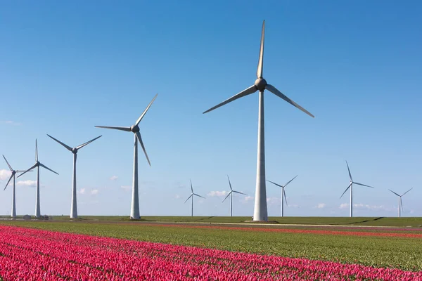 Vindkraftverk och röda tulpaner under blå himmel i holland — Stockfoto