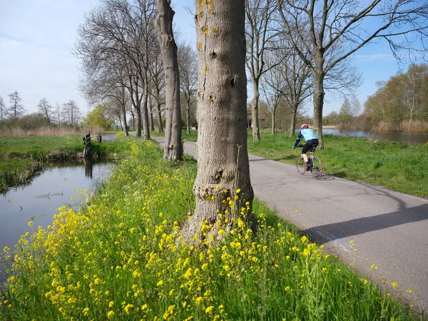 Άνδρας Ποδήλατο Επαρχιακό Δρόμο Και Κίτρινα Ανοιξιάτικα Λουλούδια Κοντά Στο — Φωτογραφία Αρχείου