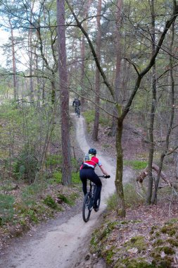 Hollanda 'da güneşli bir sabahta, Bahar Ormanı' nda dağ bisikleti süren adamlar.