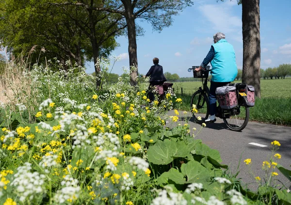 People ride bicycle on track near wild flowers in dutch spring near utrecht — Stock Photo, Image