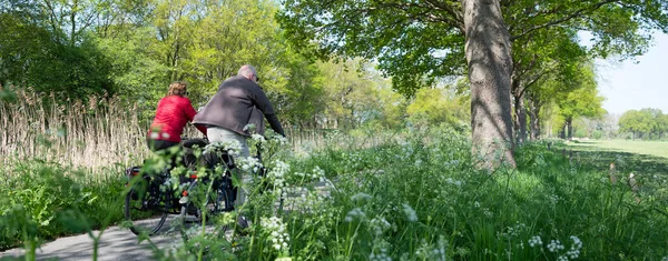 Люди Ездят Велосипеде Дорожке Возле Диких Цветов Голландской Весной Около — стоковое фото
