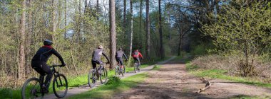Erkekler bahar ormanlarında, güneşli bir günde, Hollanda 'da utrecht yakınlarında dağ bisikletinde egzersiz yaparlar.