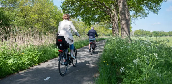 People Ride Bicycle Track Wild Flowers Dutch Spring Utrecht Blu — Stock Photo, Image