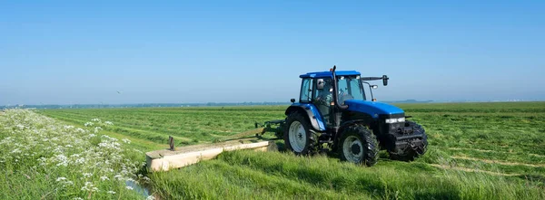 Traktor a réten nyári virágokkal fűnyírás a kék ég alatt Hollandiában — Stock Fotó