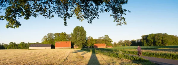Man på cykel nära gamla lador och gård vid solnedgången på landsbygden i twente nära oldenzaal i holland — Stockfoto