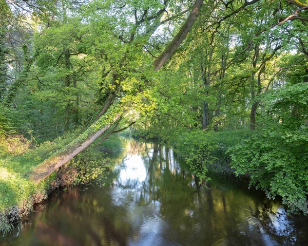 River Dinkel near village of Losser in part of dutch province of overijssel called Twente — Stock Photo, Image