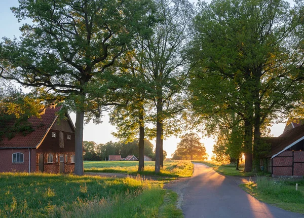 Stare stodoły i gospodarstwo o zachodzie słońca na obszarach wiejskich dwudziestego wieku w pobliżu oldenzaal w Holandii — Zdjęcie stockowe