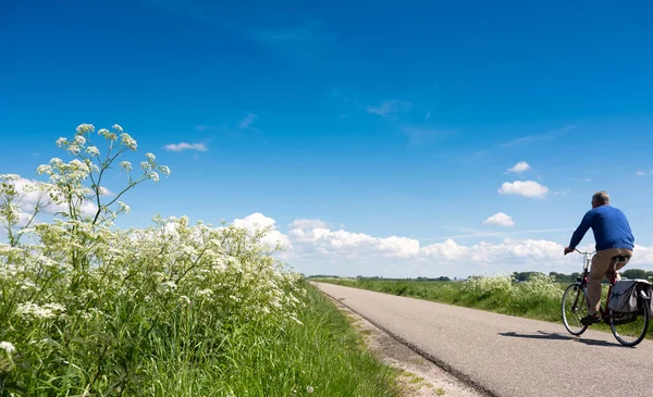사람은 자전거를 타고 푸른 여름 하늘 아래 초원 근처 시골 도로에 하얀 여름 꽃을 지나간다 — 스톡 사진