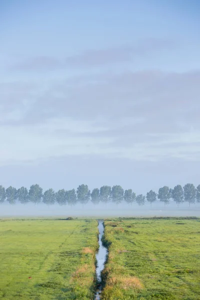 A água da vala reflete o céu azul no início da manhã de verão na área de prado verde perto de amsterdam nas terras baixas — Fotografia de Stock