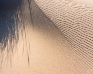 Hollanda 'da pek çok terk edilmiş kum tepecikleri var. Hollanda' da mavi gökyüzü.