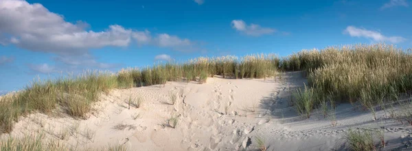 Holland wadden szigeteken sok elhagyatott homokdűnék felfelé kék nyári ég az alföldön — Stock Fotó