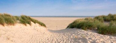 dunes and beach on dutch island of texel on sunny day with blue sky clipart
