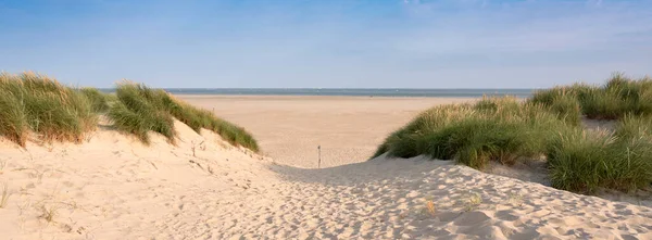 Duny a pláž na holandském ostrově texel za slunečného dne s modrou oblohou — Stock fotografie