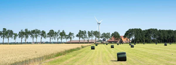Fazenda e campos com turbina eólica em wieringermeer sob céu azul nas terras baixas holandês noord — Fotografia de Stock