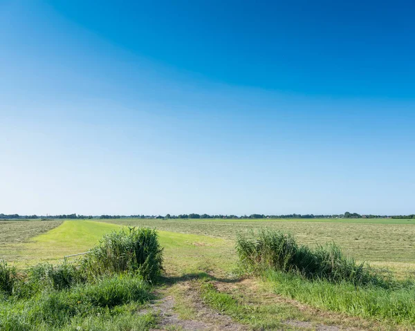 Entrada al prado verde con césped segado en el soleado día de verano entre alkmaar y hoorn en West-friesland —  Fotos de Stock