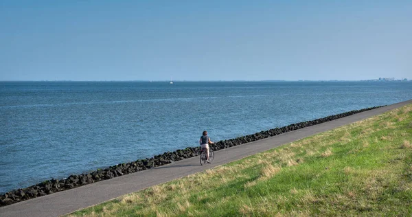 Woman rides bicycle on dike of wadden sea on dutch island of texel in summer — Stockfoto