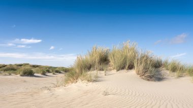 dutch wadden islands have many deserted sand dunes uinder blue summer sky in the netherlands clipart