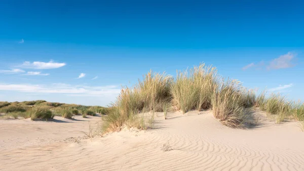 Ilhas wadden holandês têm muitas dunas de areia desertas uinder céu azul de verão nas terras baixas — Fotografia de Stock