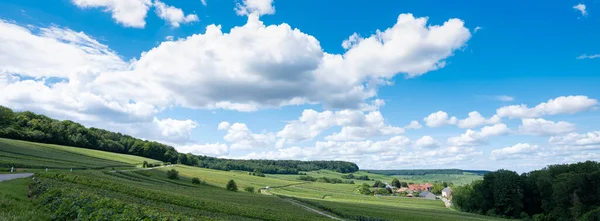 Катящиеся холмы в сельской местности Франции к югу от Реймса под голубым небом летом — стоковое фото