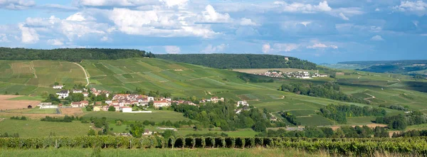 Fransız Bölgesi 'nin güneyindeki Marne Vadisi' ndeki üzüm bağları. Şampanya Ardenne. — Stok fotoğraf