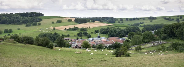 Летний сельский пейзаж с зелеными лугами и деревня во французских арденнах недалеко от Шарлевиля — стоковое фото