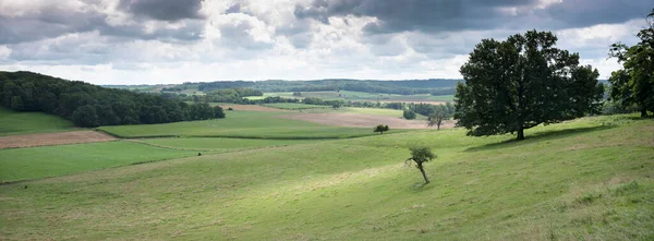 Paisaje de campo de verano con prados verdes y pueblo en ardenas francesas cerca de charleville —  Fotos de Stock