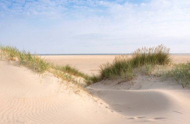 Güneşli bir günde, Hollanda 'nın Teksas adasında kumullar ve kumsallar
