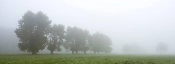 Árvores na névoa da manhã de normandy francês na fotografia panorama — Fotografia de Stock