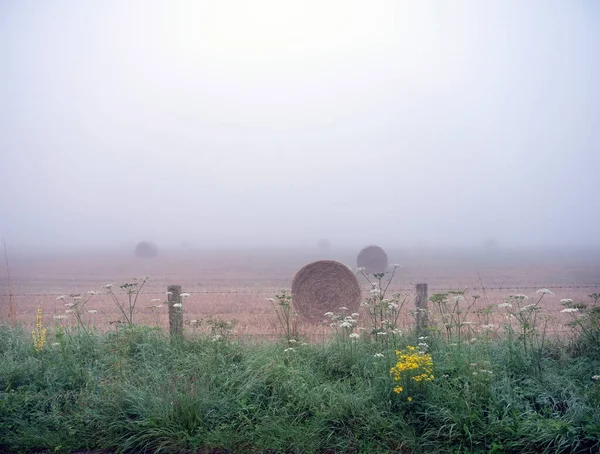 Fardos de palha em neblina manhã campo perto de ruen na frança — Fotografia de Stock
