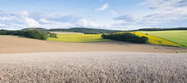 Beau paysage de morvan français avec des champs herbeux verts et des forêts sous ciel bleu avec des nuages — Photo