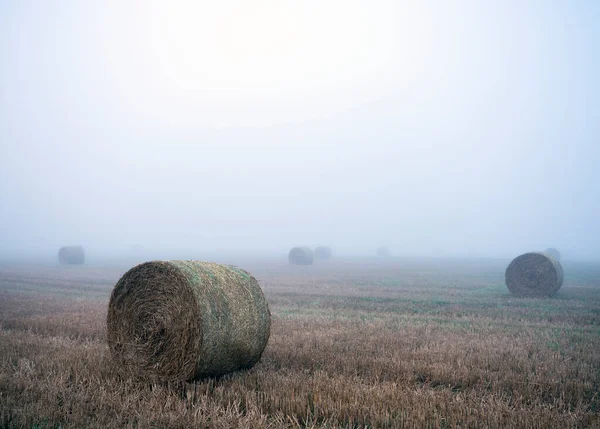 Slámové balíky v mlhavém ranním poli u Rouenu ve Francii — Stock fotografie