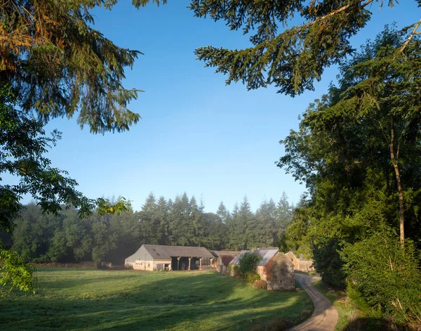 Antigua granja forestal en el centro de la Bretaña francesa en la niebla de la mañana — Foto de Stock