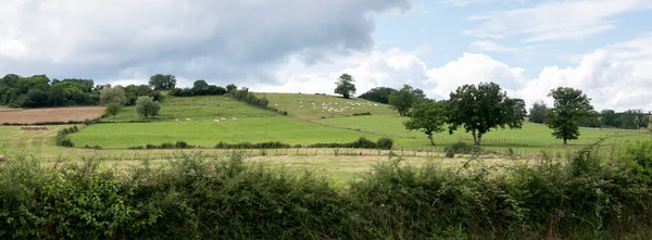 Bela paisagem de morvan francês com campos verdes gramados e florestas sob céu azul com nuvens — Fotografia de Stock