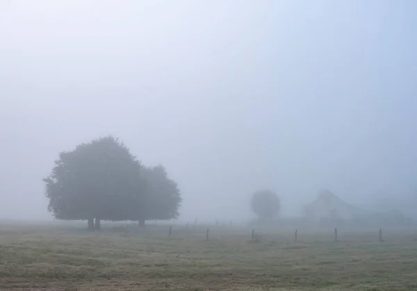 Árvore e casa no início da manhã nevoeiro de verão no campo do parque regional boucles de la seine em francês normandy — Fotografia de Stock