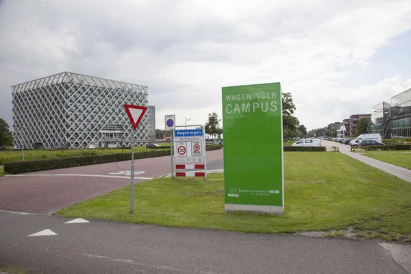 Campus vid universitetet i wageningen — Stockfoto