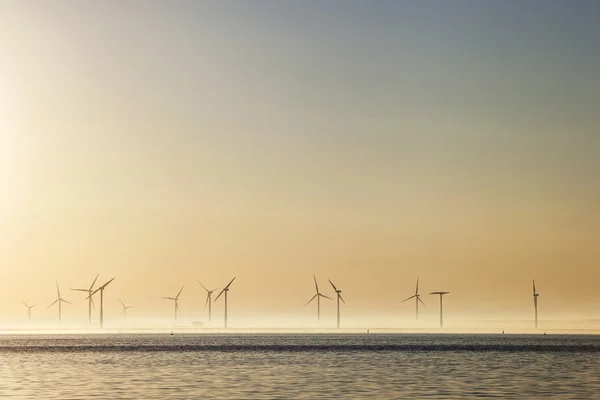 Windmills at sunrise in Holland — Stock Photo, Image