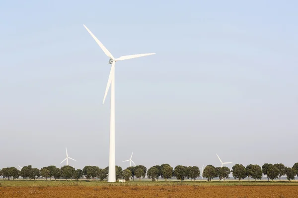 Wind turbines and tree lined road in the netherlands — Stock Photo, Image