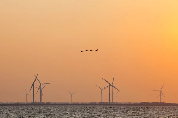 Wind turbines and geese in colorful sky — Stock Photo, Image